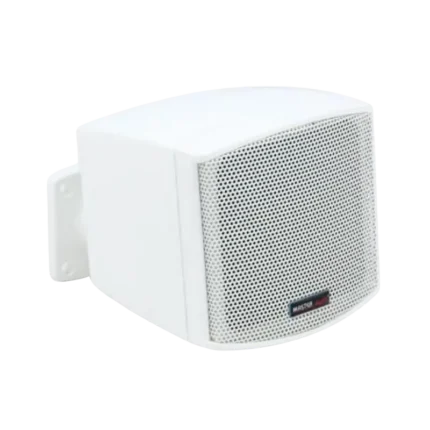 CINEMA 310 Music Wall Mount Speaker